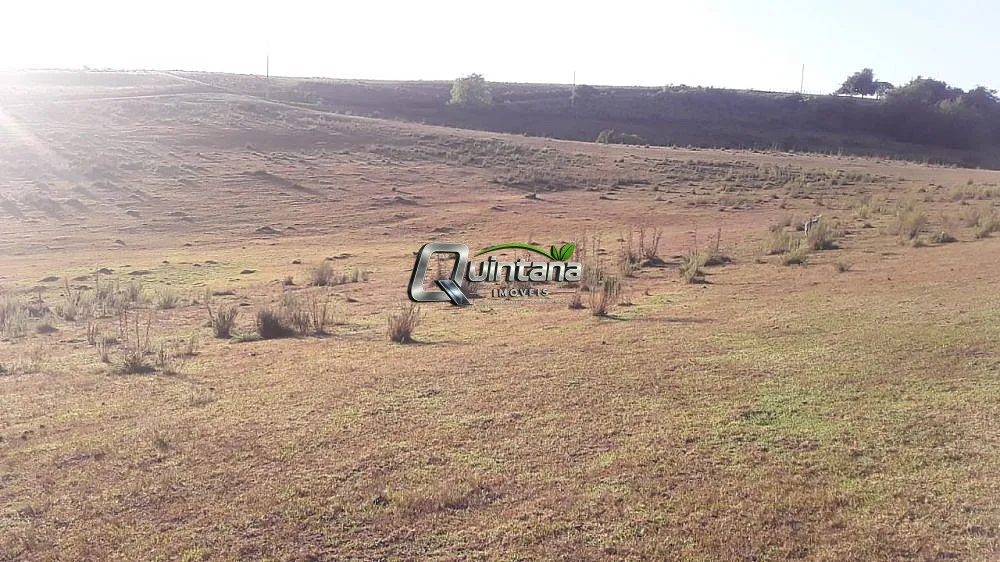 Fazenda, 165 hectares - Foto 3
