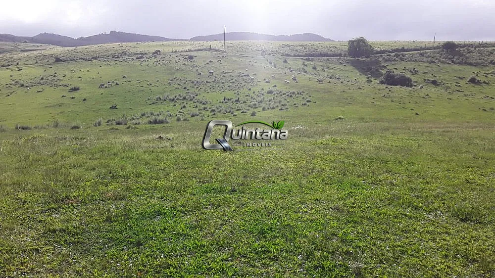 Fazenda, 165 hectares - Foto 2