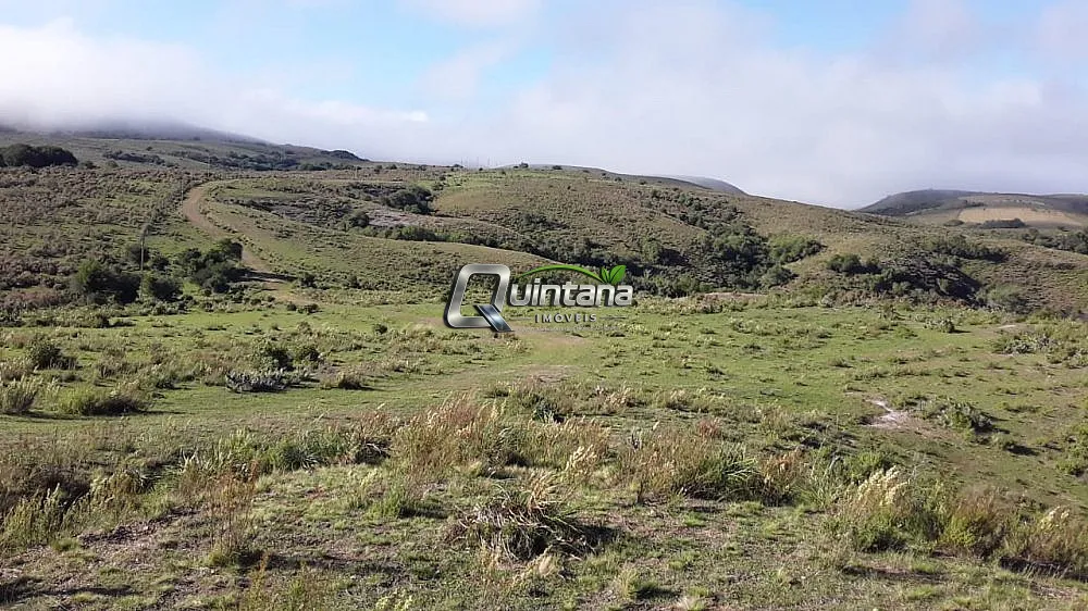 Fazenda, 165 hectares - Foto 4