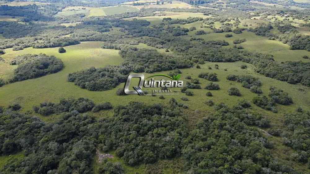 Fazenda, 180 hectares - Foto 3