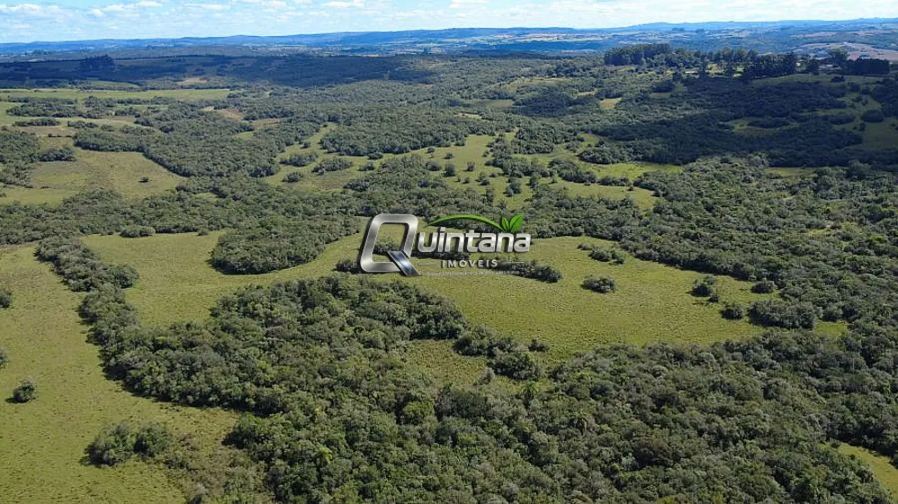 Fazenda, 180 hectares - Foto 10