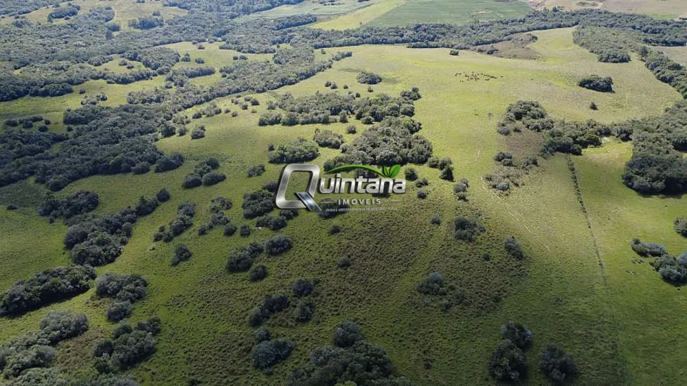 Fazenda, 180 hectares - Foto 4