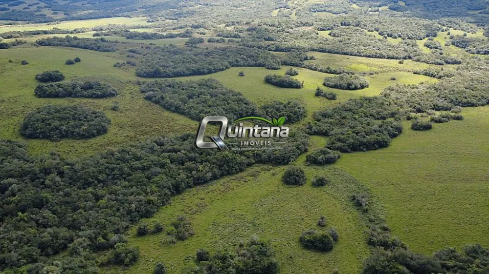 Fazenda, 180 hectares - Foto 7