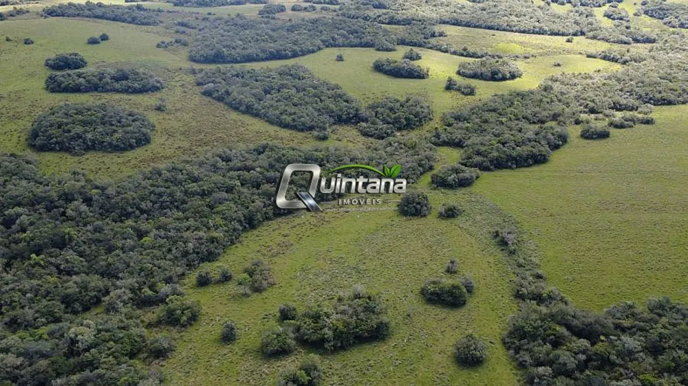 Fazenda, 180 hectares - Foto 6