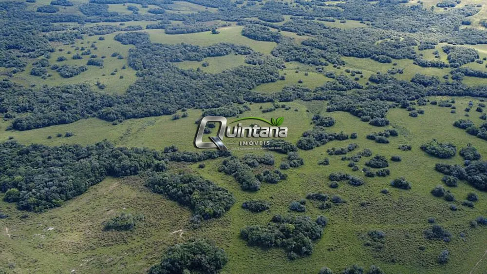 Fazenda, 180 hectares - Foto 9