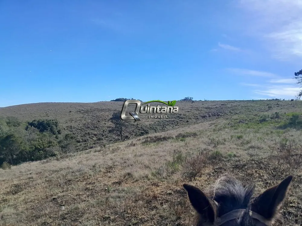 Sítio, 30 hectares - Foto 4