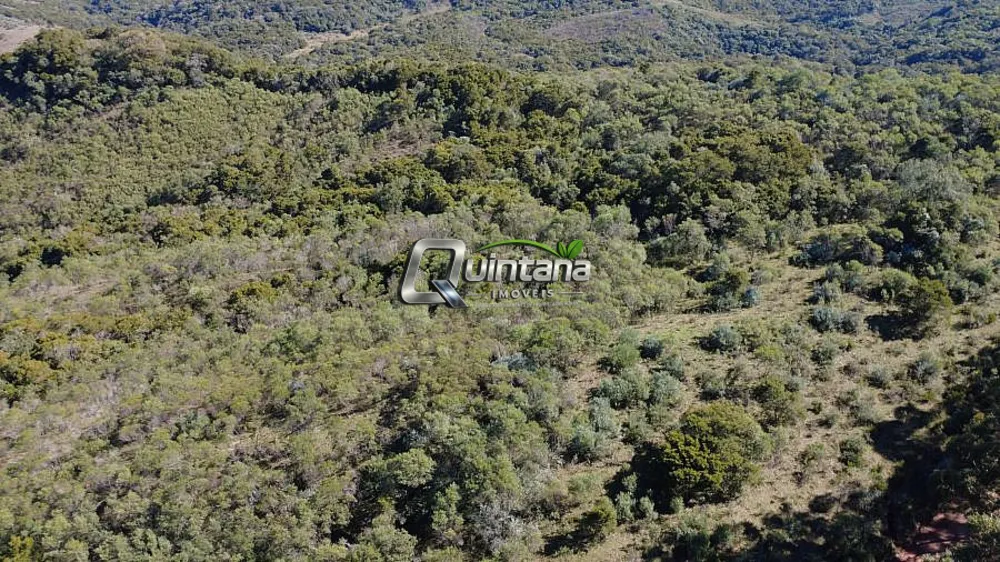 Terreno, 42 hectares - Foto 1