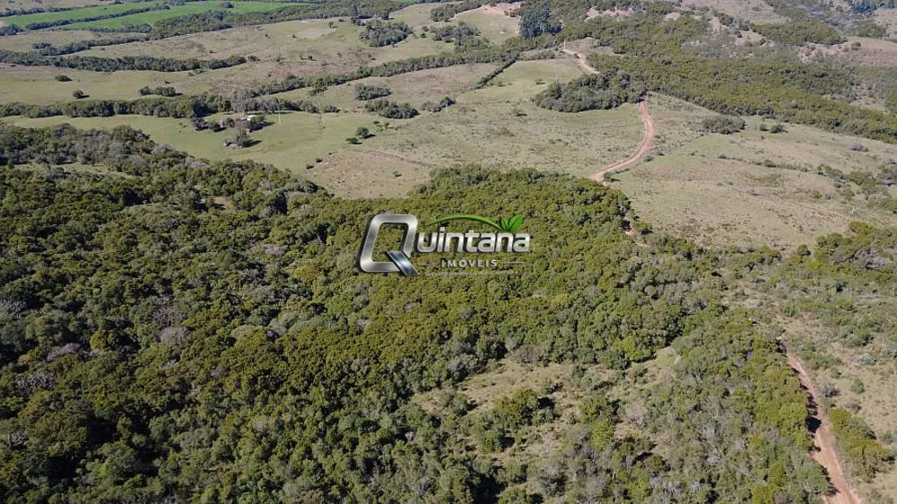 Terreno, 42 hectares - Foto 2