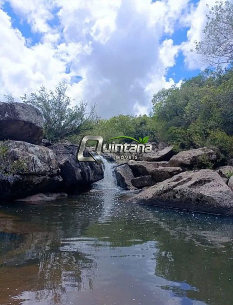 Fazenda, 53 hectares - Foto 1