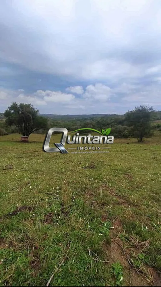 Fazenda, 53 hectares - Foto 3