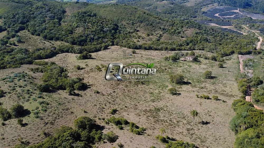 Fazenda, 95 hectares - Foto 1