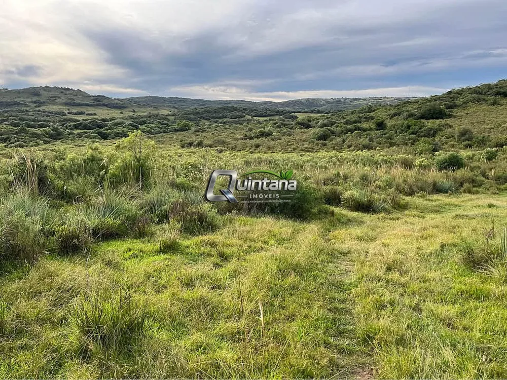 Fazenda, 20 hectares - Foto 1