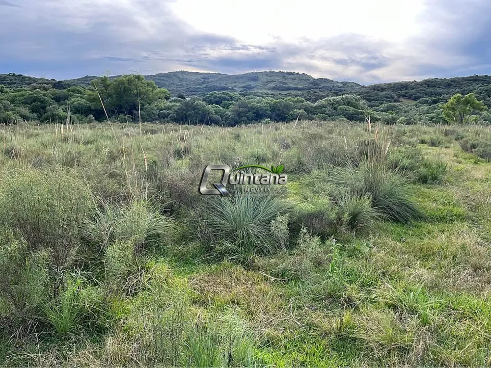Fazenda, 20 hectares - Foto 3