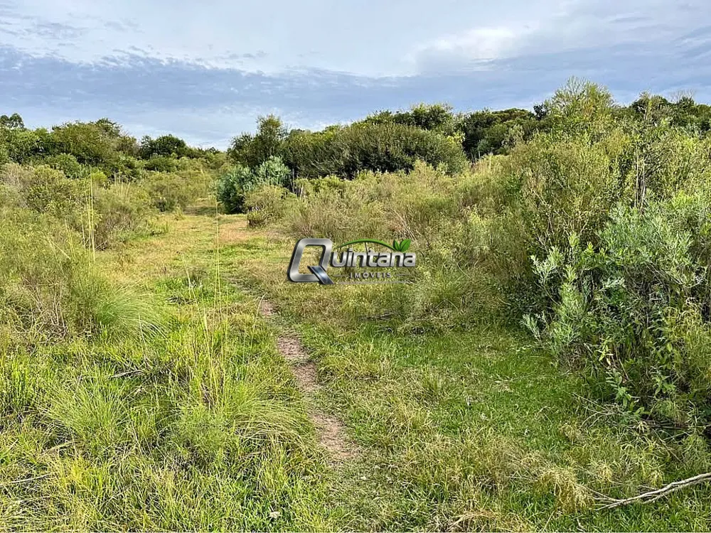Fazenda, 20 hectares - Foto 6