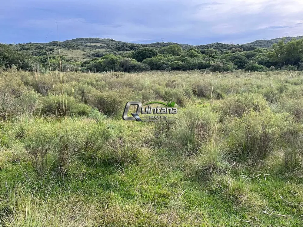 Fazenda, 20 hectares - Foto 4