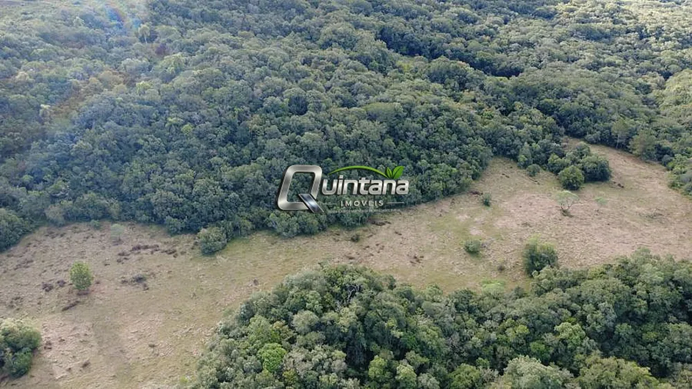 Sítio, 2 quartos, 17 hectares - Foto 3
