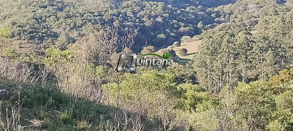 Fazenda, 35 hectares - Foto 1