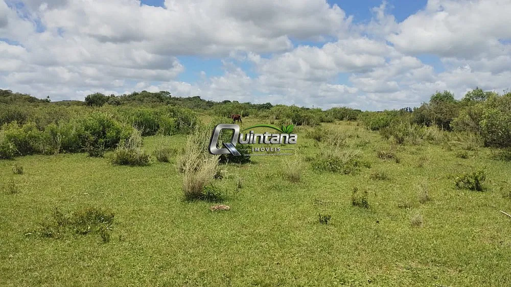 Fazenda, 230 hectares - Foto 1