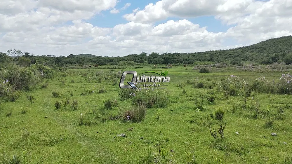 Fazenda, 230 hectares - Foto 8