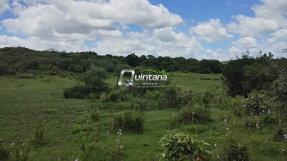 Fazenda, 230 hectares - Foto 2