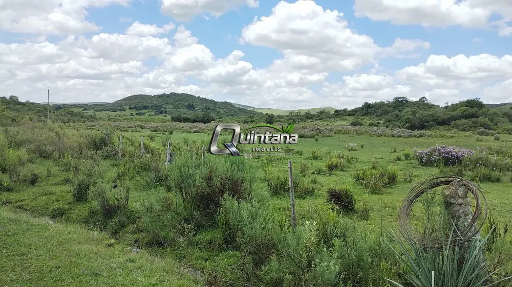 Fazenda, 230 hectares - Foto 1