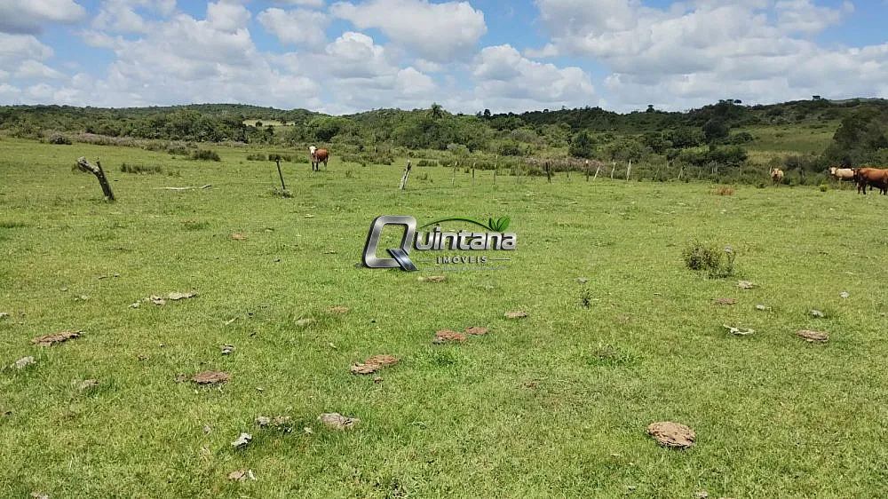 Fazenda, 230 hectares - Foto 12