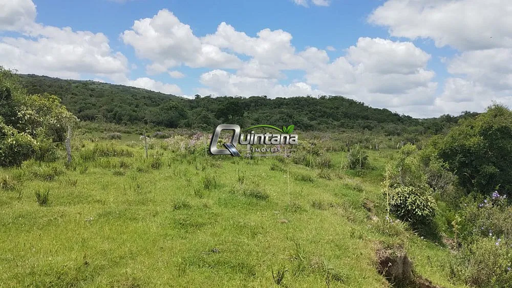 Fazenda, 230 hectares - Foto 14