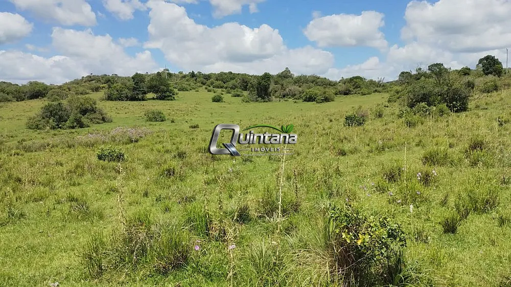Fazenda, 230 hectares - Foto 13