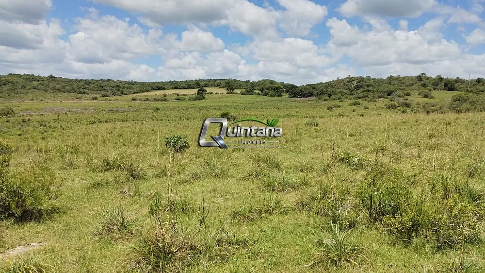 Fazenda, 230 hectares - Foto 4