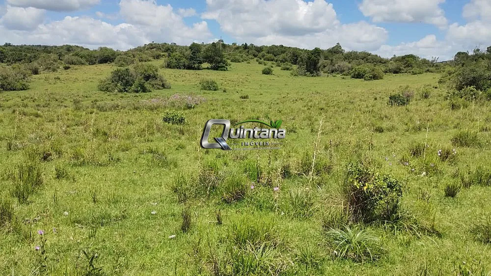 Fazenda, 230 hectares - Foto 9