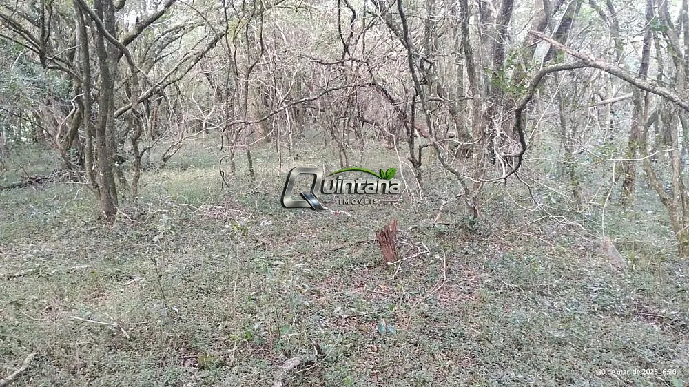 Fazenda, 70 hectares - Foto 12
