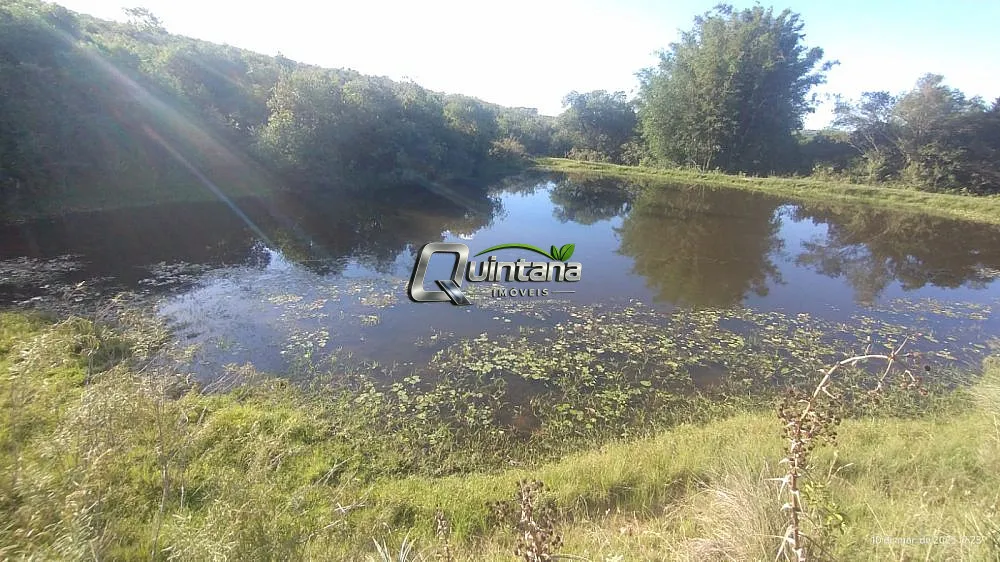 Fazenda, 70 hectares - Foto 6