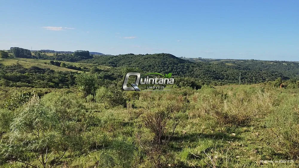 Fazenda, 70 hectares - Foto 10