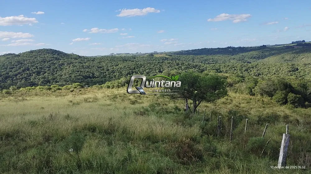 Fazenda, 70 hectares - Foto 8