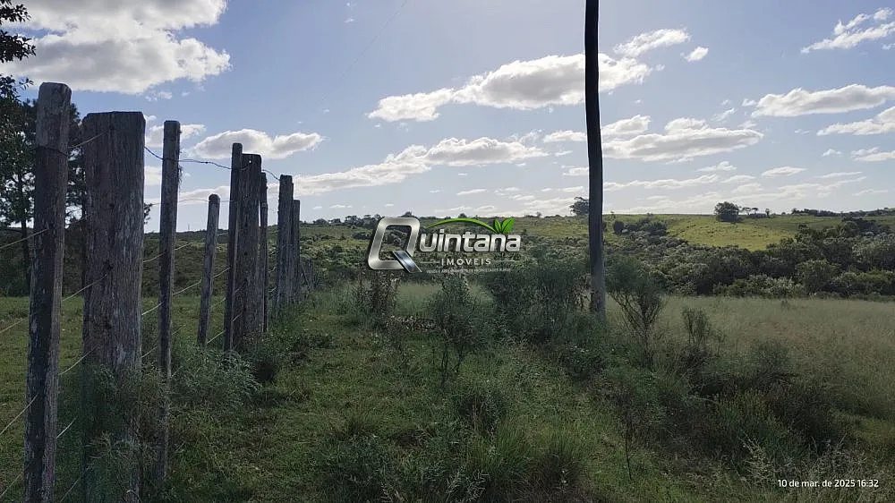 Fazenda, 70 hectares - Foto 5