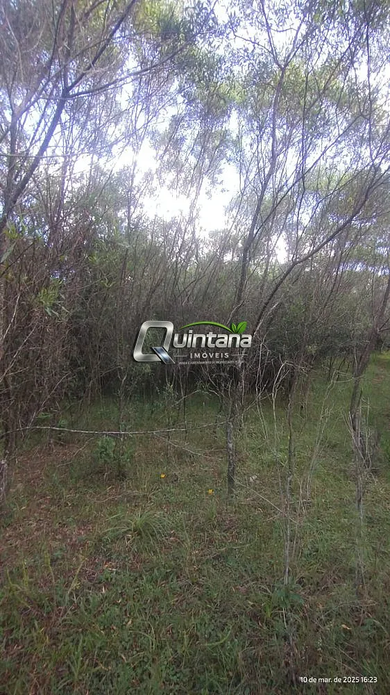 Fazenda, 70 hectares - Foto 13