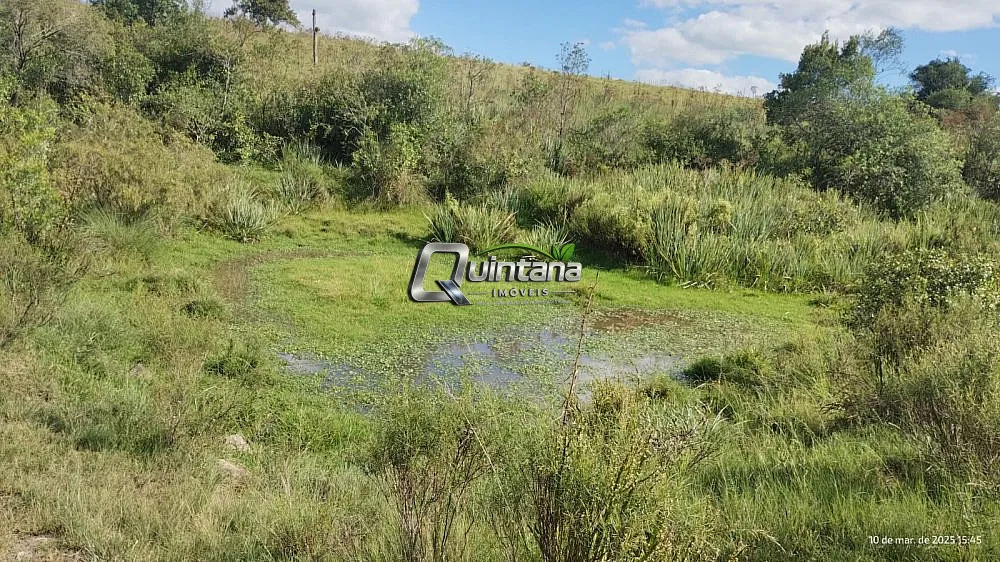 Fazenda, 70 hectares - Foto 20