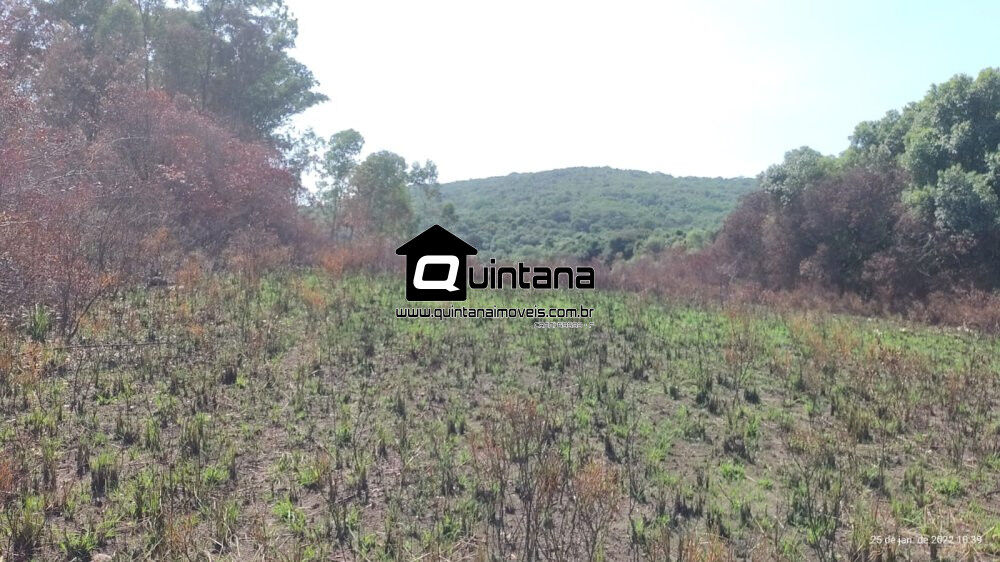 Fazenda à venda com 3 quartos, 2600000m² - Foto 3