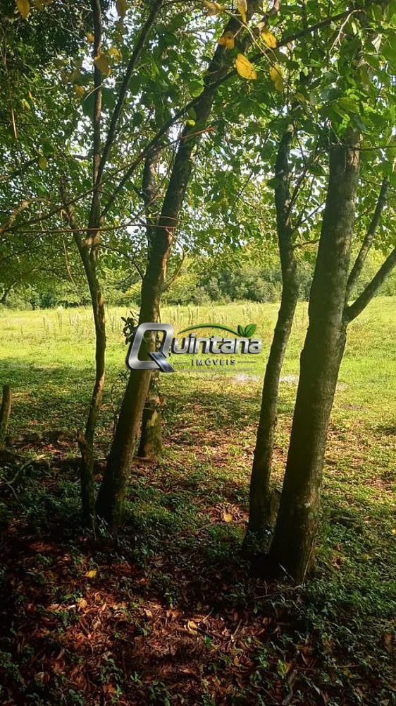Sítio, 2 quartos, 6 hectares - Foto 3
