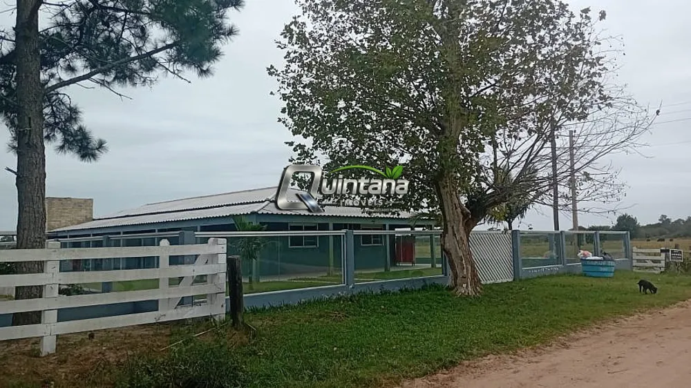 Sítio, 2 quartos, 6 hectares - Foto 2