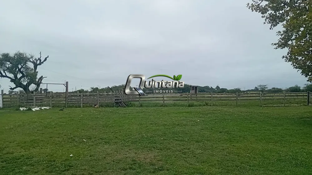 Sítio, 2 quartos, 6 hectares - Foto 8
