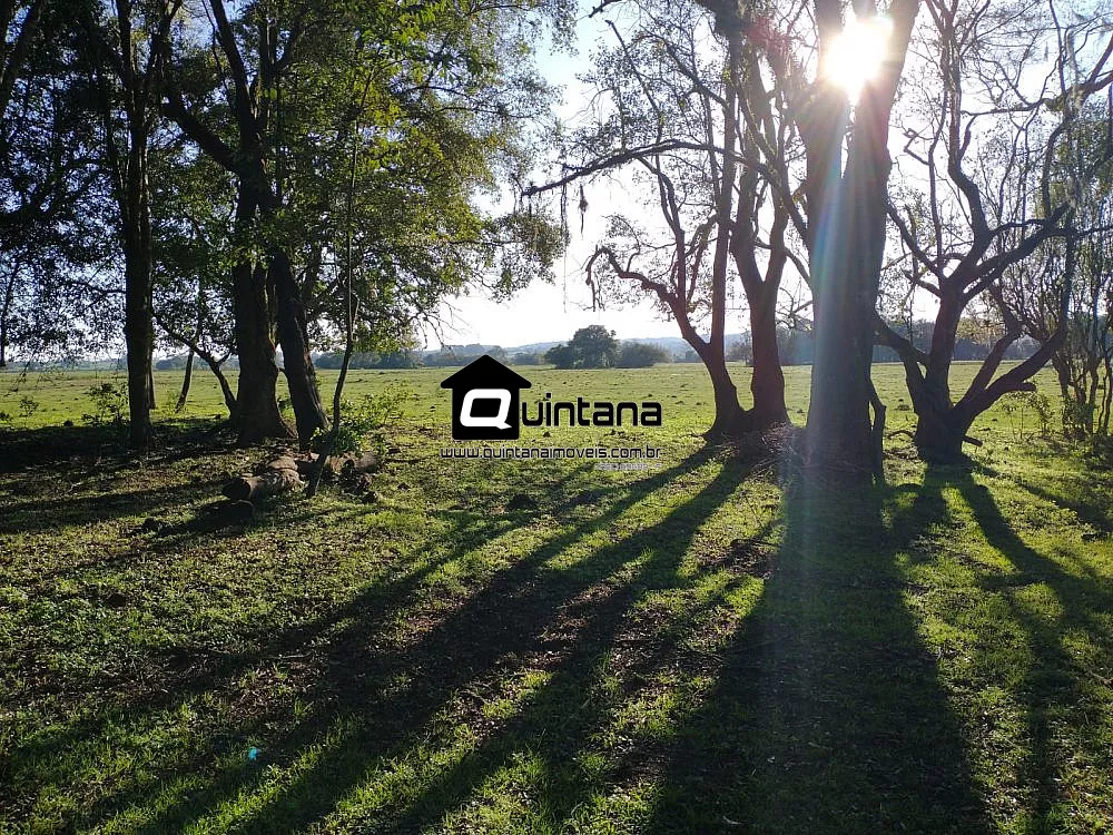 Fazenda-Sítio-Chácara, 409 hectares - Foto 2