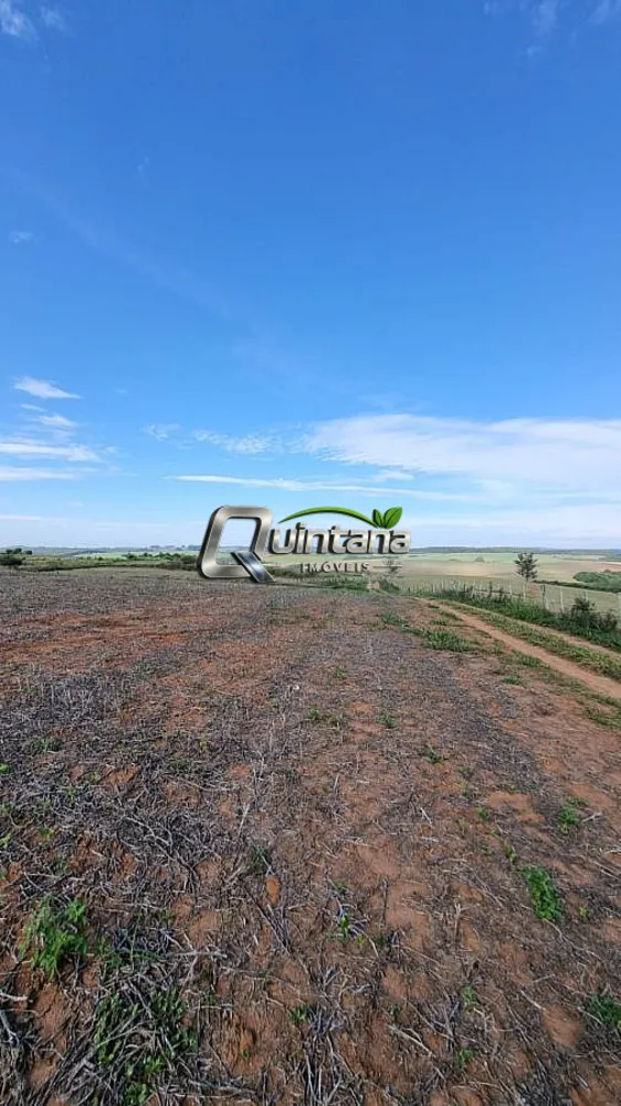 Fazenda, 64 hectares - Foto 7