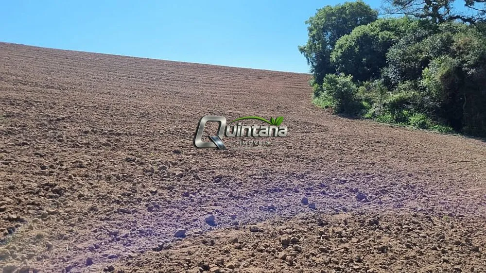 Fazenda, 64 hectares - Foto 9