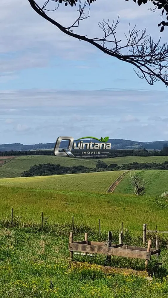 Fazenda, 64 hectares - Foto 1