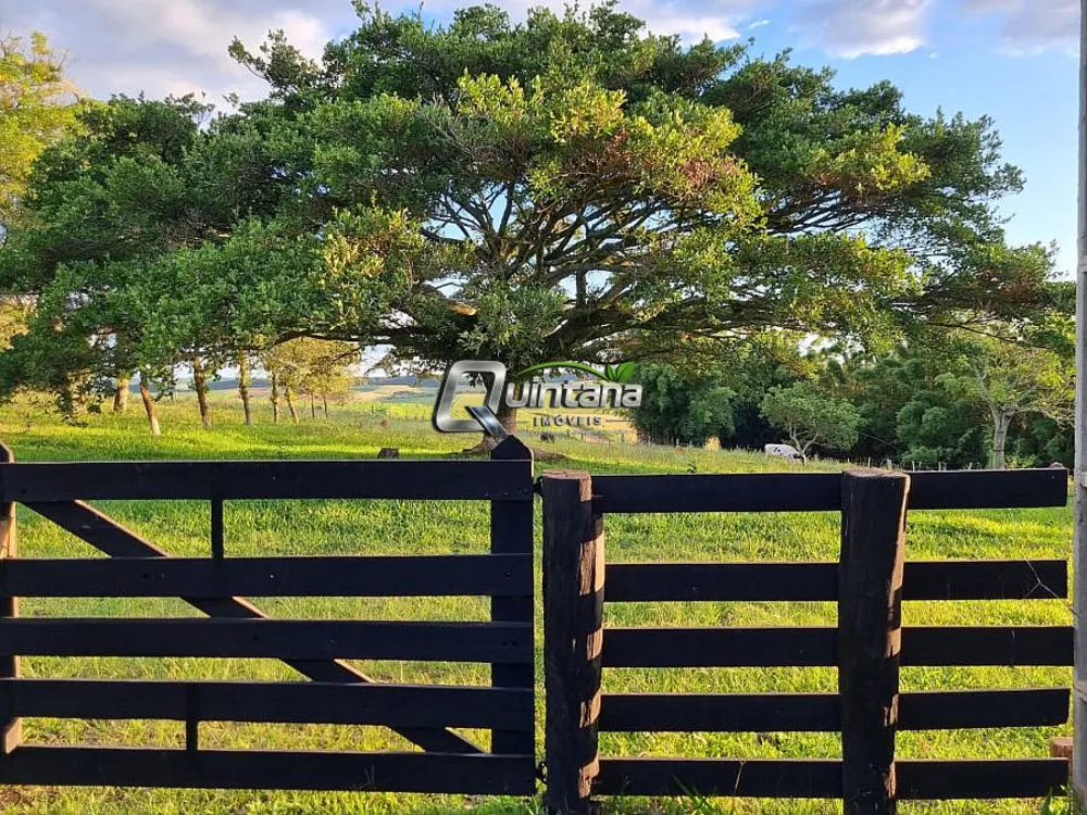 Fazenda, 64 hectares - Foto 12