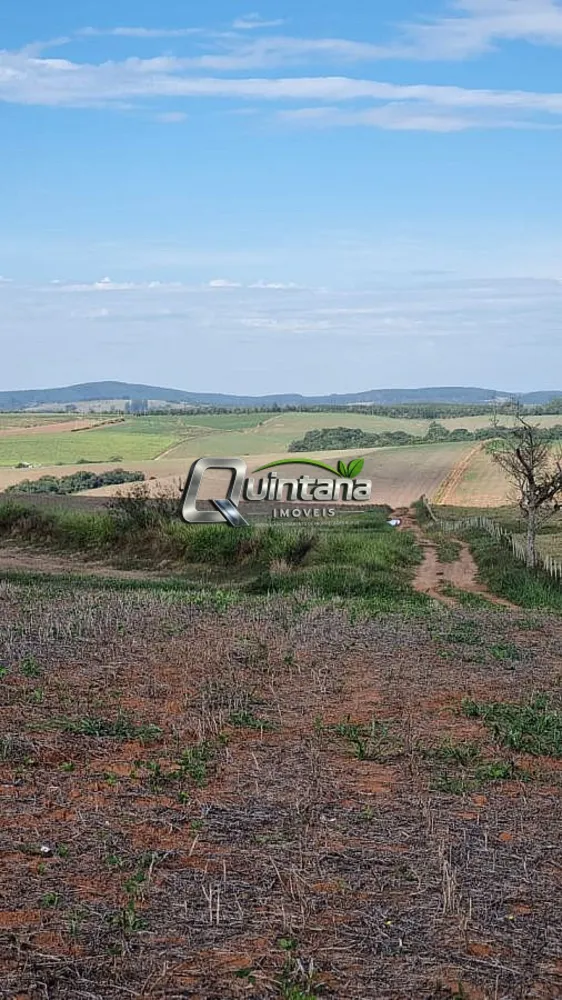 Fazenda, 64 hectares - Foto 4