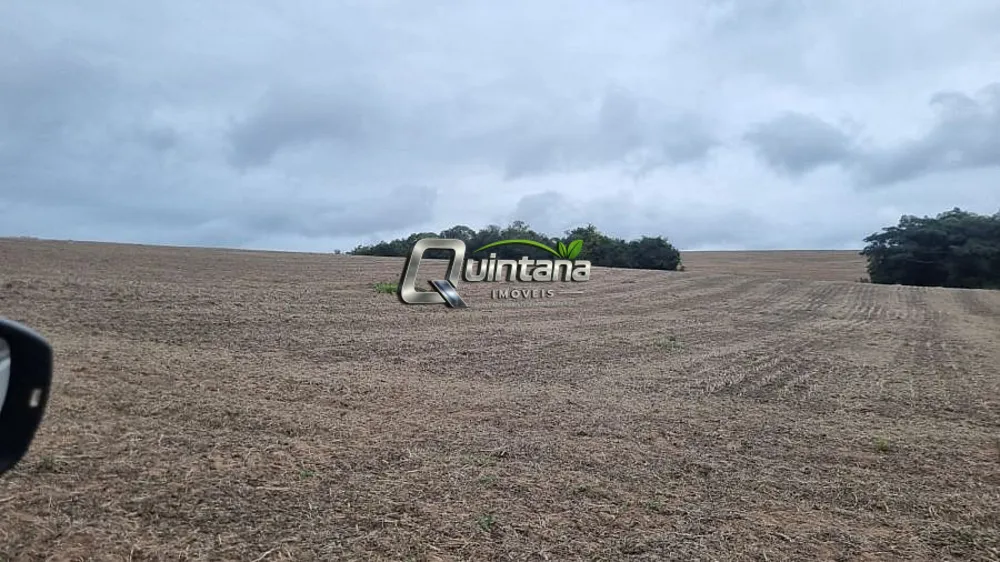 Fazenda, 64 hectares - Foto 8
