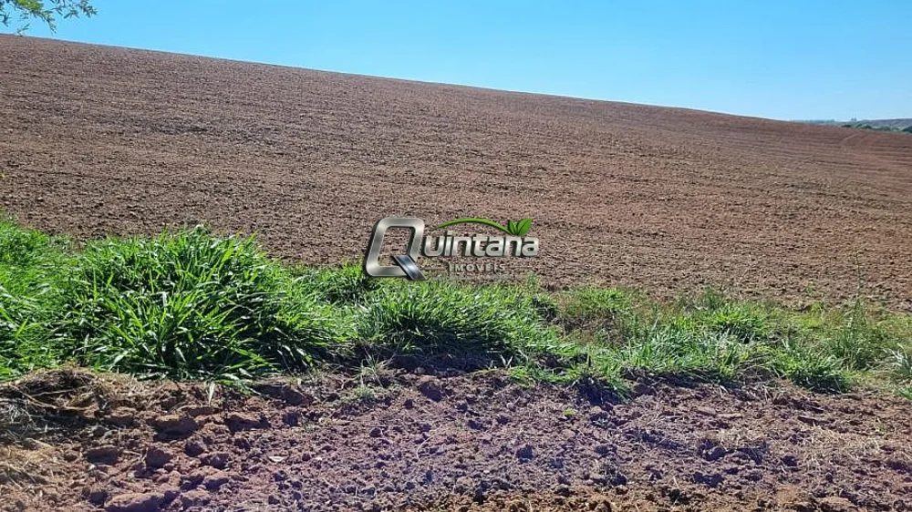 Fazenda, 64 hectares - Foto 11