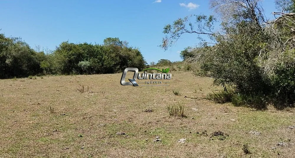 Fazenda, 210 hectares - Foto 1